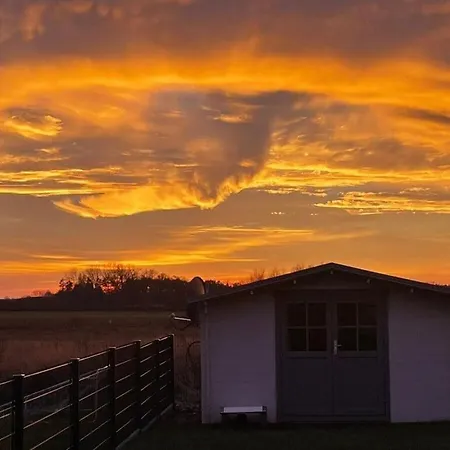 Uitzicht Op De Kraanvogel Σπίτι διακοπών Dreschvitz
