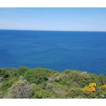 Σπίτι διακοπών Uitzicht Op De Kraanvogel Dreschvitz