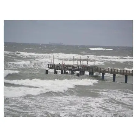 Uitzicht Op De Kraanvogel *