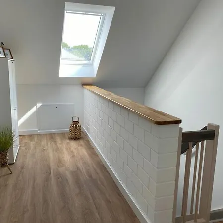 Uitzicht Op De Kraanvogel