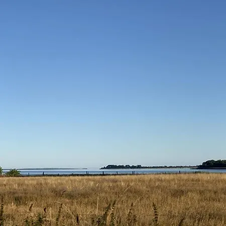 Holiday home Uitzicht Op De Kraanvogel Dreschvitz