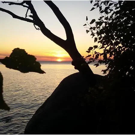 Uitzicht Op De Kraanvogel * Dreschvitz