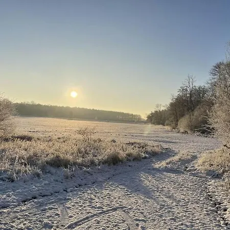 Uitzicht Op De Kraanvogel Σπίτι διακοπών Dreschvitz