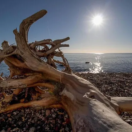 Σπίτι διακοπών Uitzicht Op De Kraanvogel
