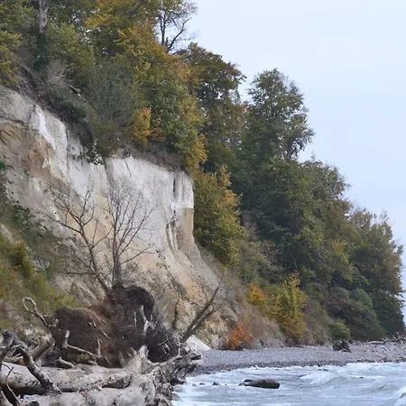Uitzicht Op De Kraanvogel *