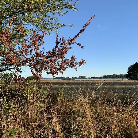 Σπίτι διακοπών Uitzicht Op De Kraanvogel Dreschvitz